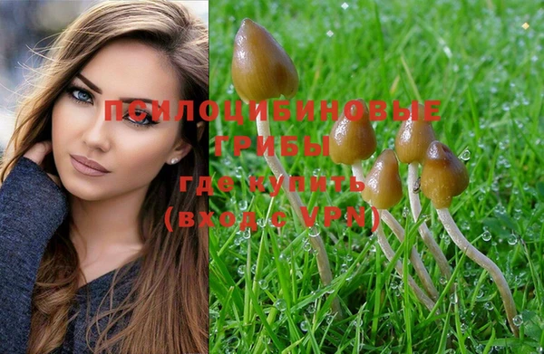 PSILOCYBIN Куйбышев