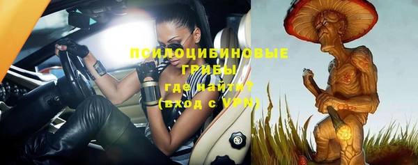 PSILOCYBIN Куйбышев